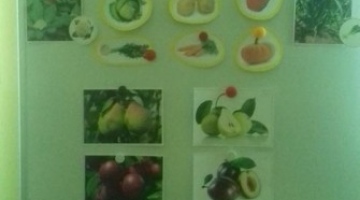 Poznajemy owoce i warzywa